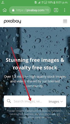 best website best website