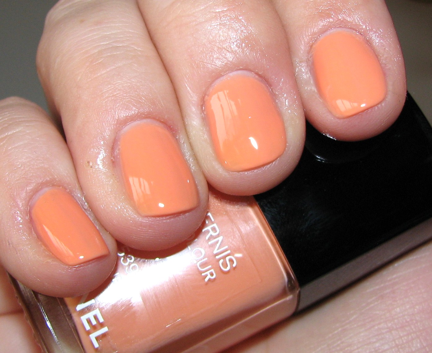 underskud Zoo om natten Pædagogik Chanel JUNE 539 Le Vernis Nail Colour Swatches and Review - Spring 2012 -  Blushing Noir