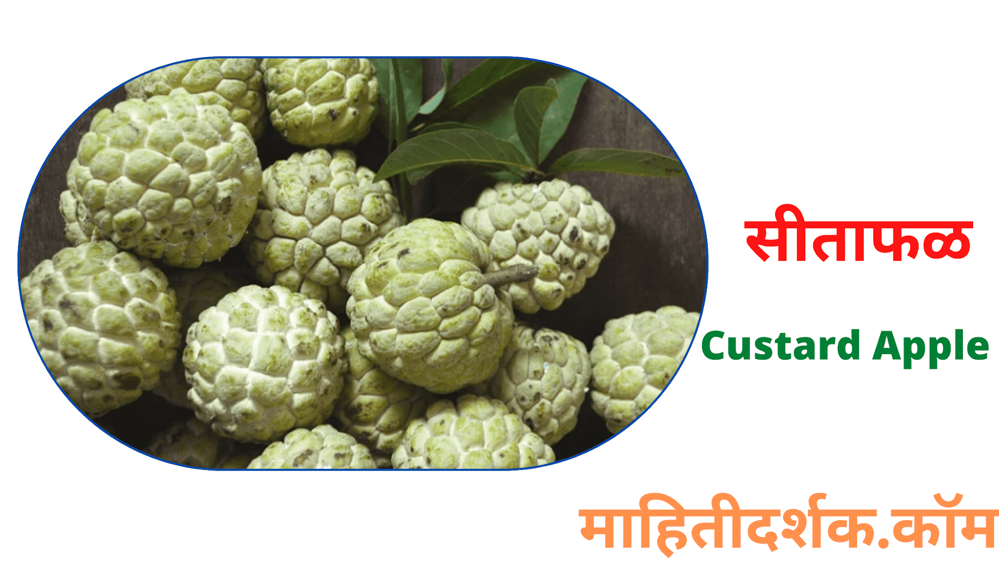 Fruit Name in Marathi