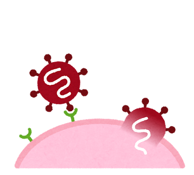 ウイルスと受容体のイラスト