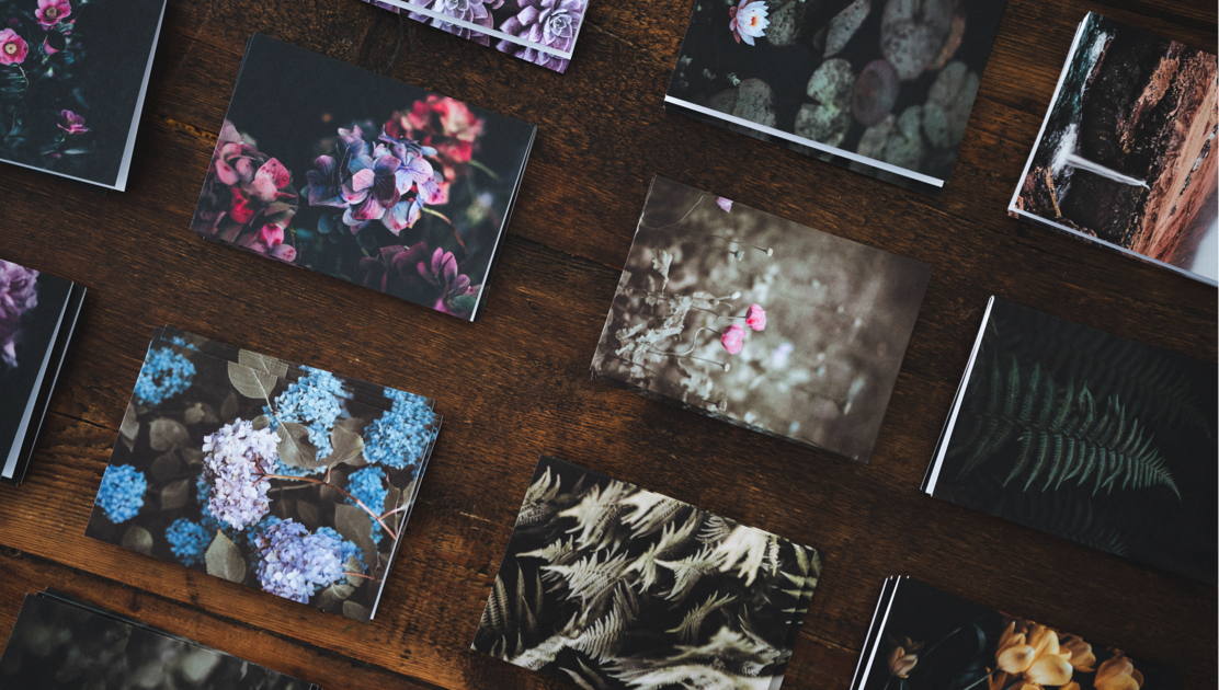 New Zealand Art Print News How to Hang Wall Art Like A Pro NZ Fine