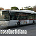 Orari di Natale - La nostra proposta!