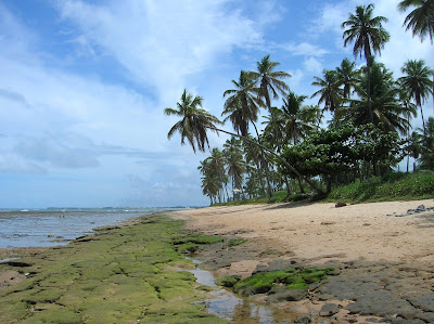 Praia do Forte, Brasil, La vuelta al mundo de Asun y Ricardo, round the world, mundoporlibre.com