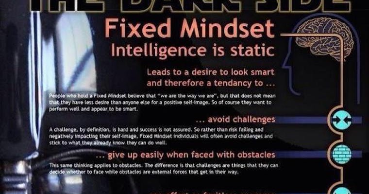 Growth Mindset Feedback Cats The Dark Side Of The Fixed Mindset