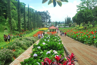 Liburan di Batu dan Malang Liburan di Batu dan Malang