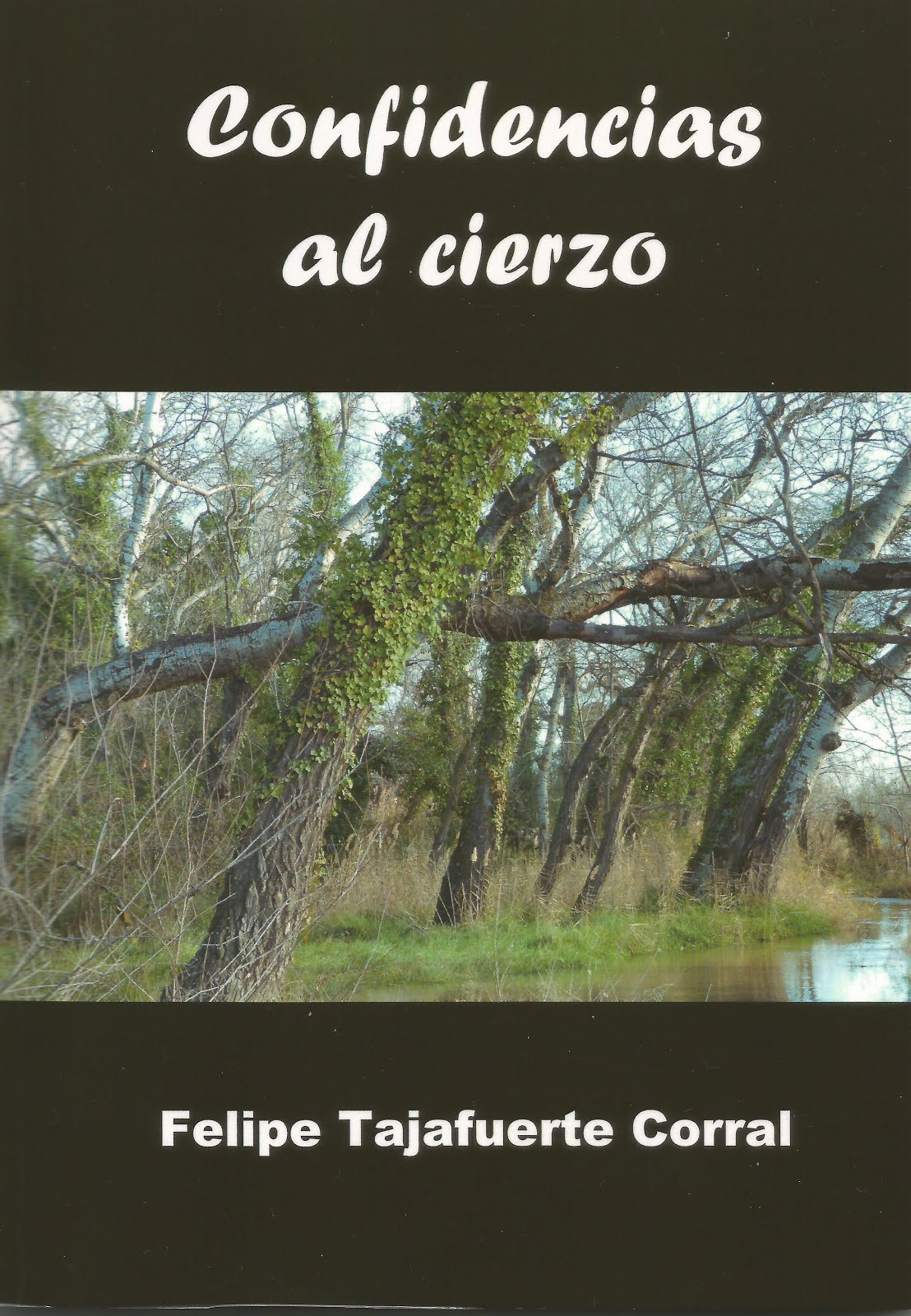 El Paraíso En La Otra Esquina", De Mario Vargas Llosa