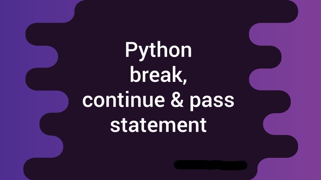 break continue pass keywords in python.