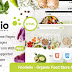 Best 4in1 Organic Food Store Responsive Template 