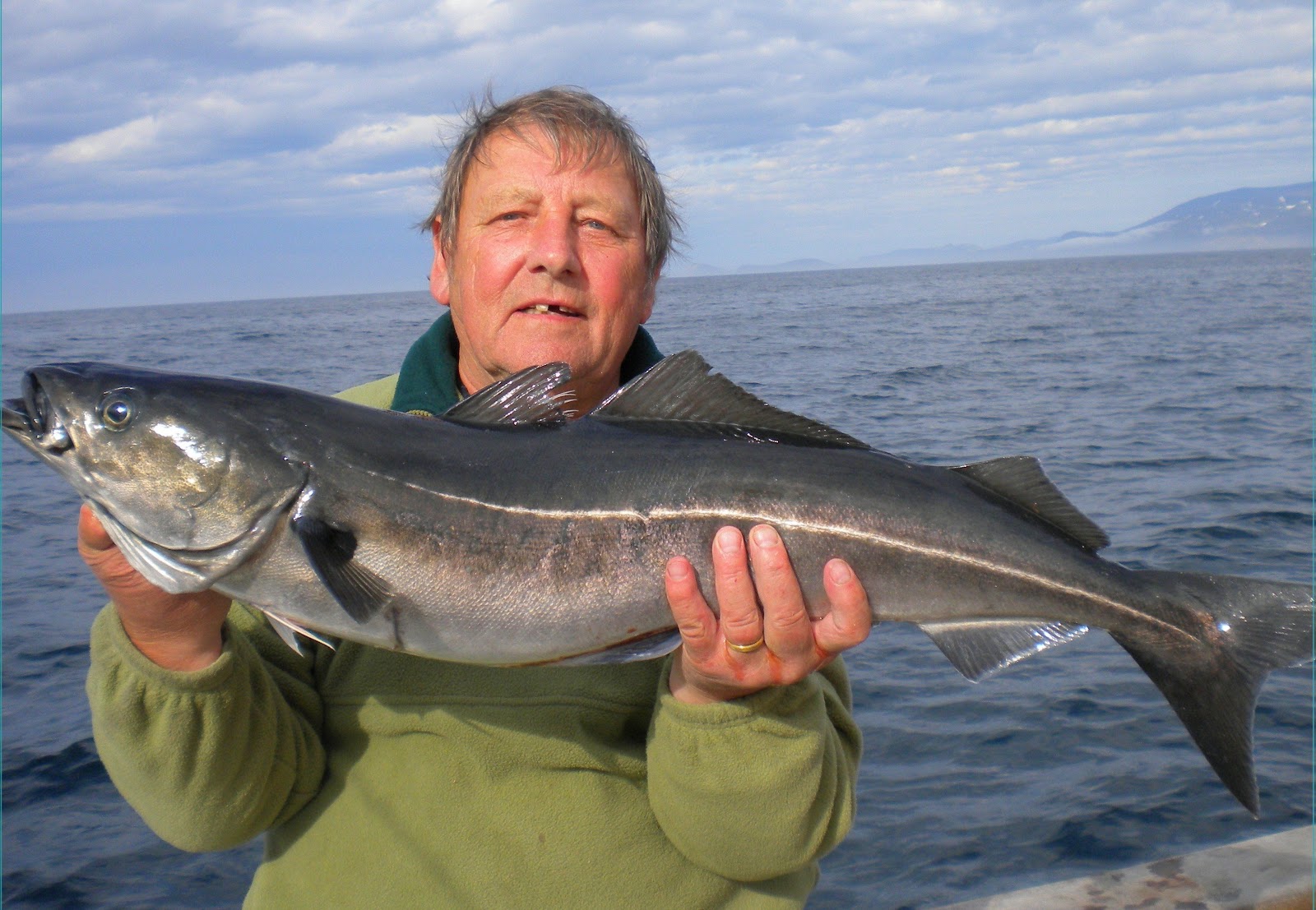 Fish of the Month November Entry Pirked Coalfish!