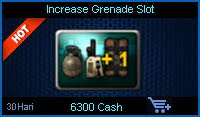 Increase Grenade Slot