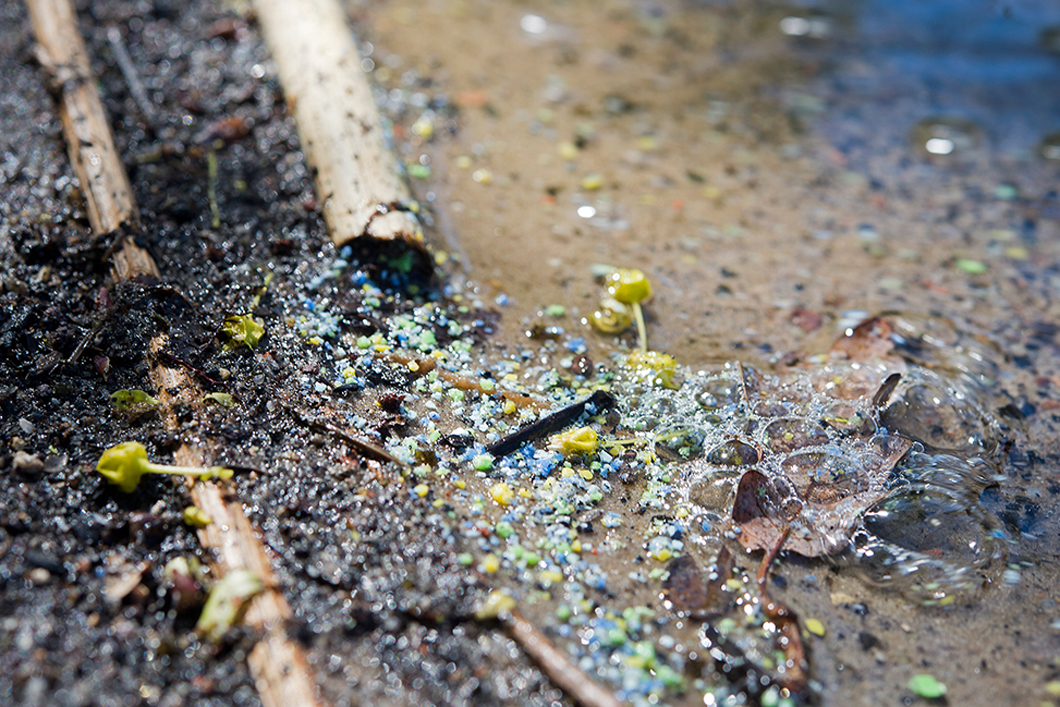 Microplastics Are Destroying The Soil Food 