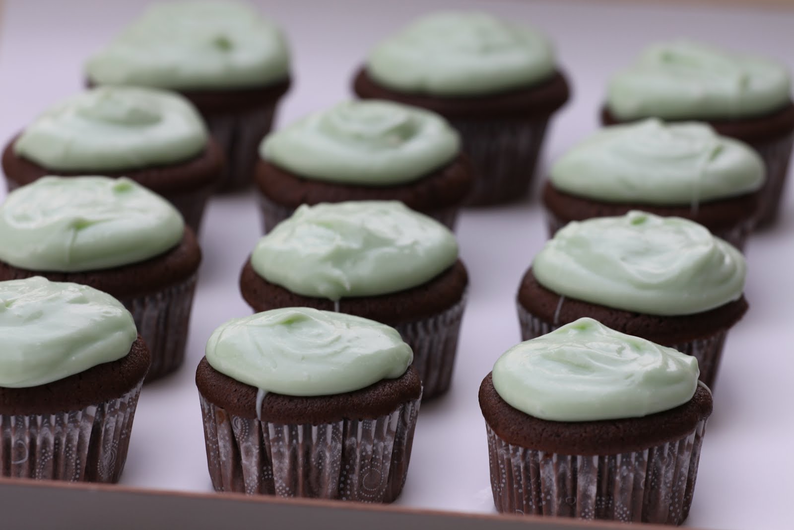 Pots and Frills Chocolate Cupcakeswith Mint Frosting