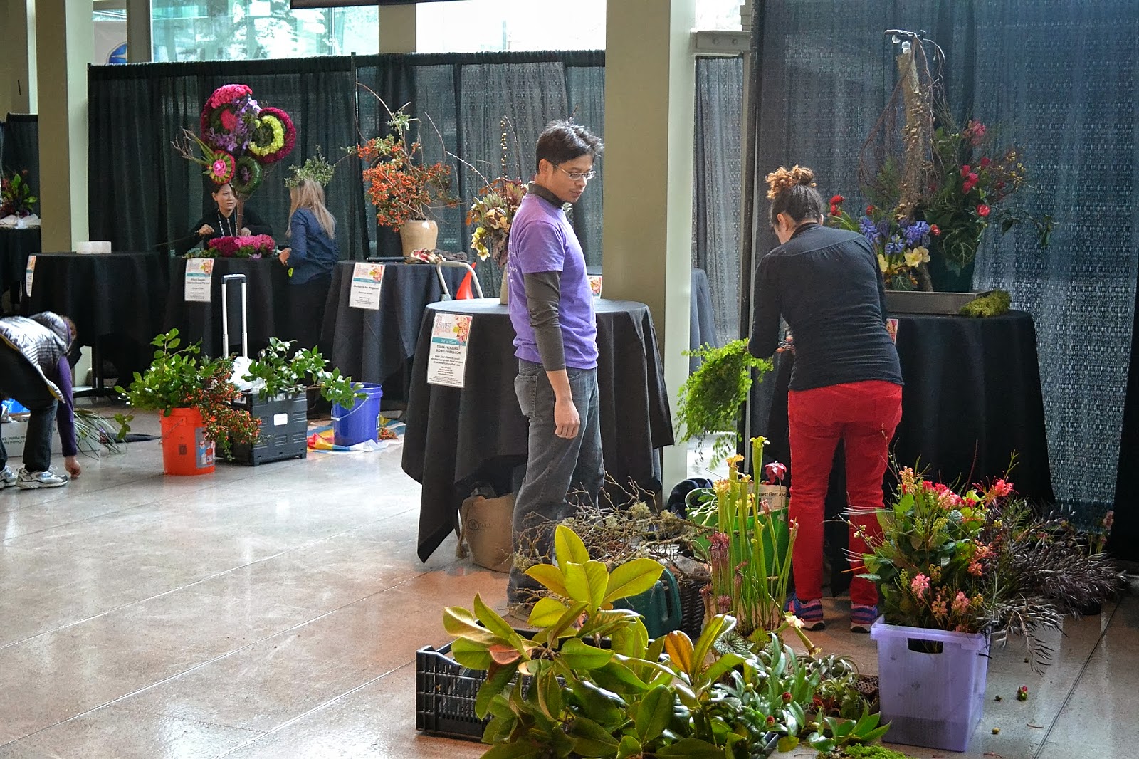 The Outlaw Gardener Northwest Flower and Garden Show Floral Competition
