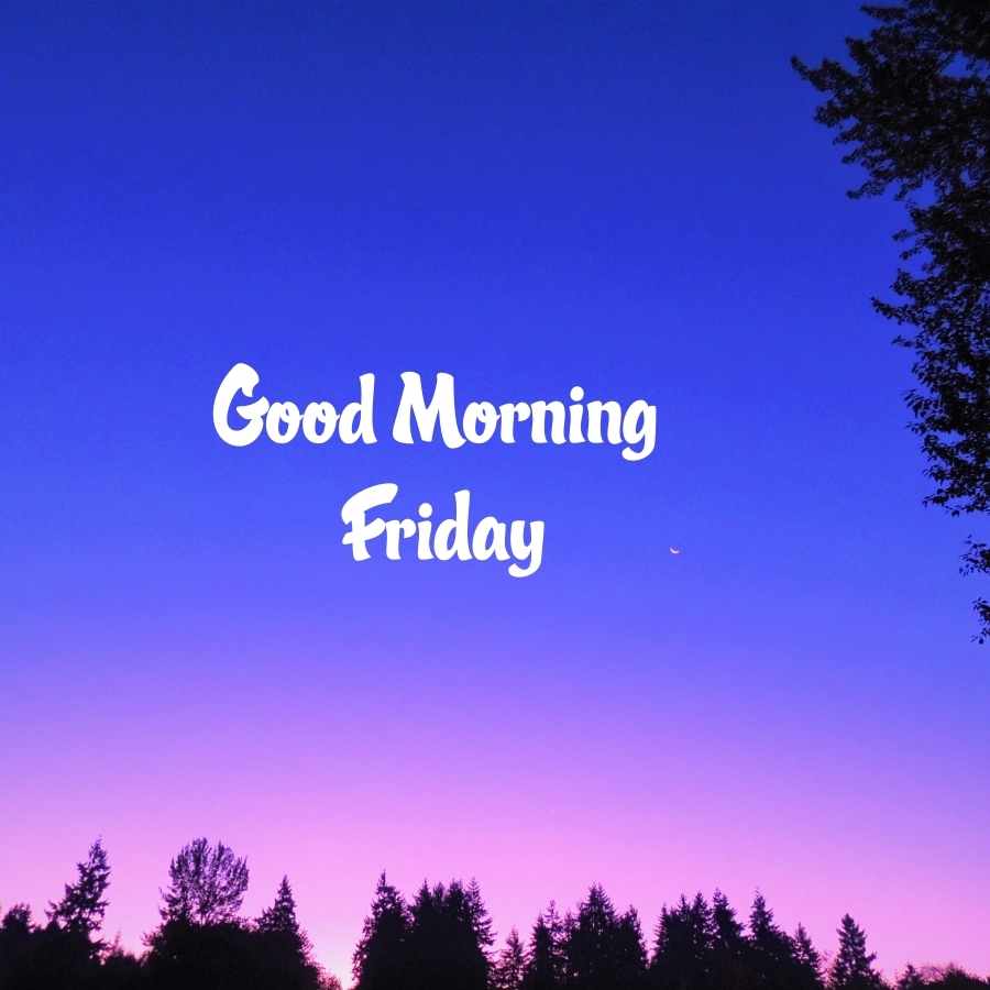 happy friday image