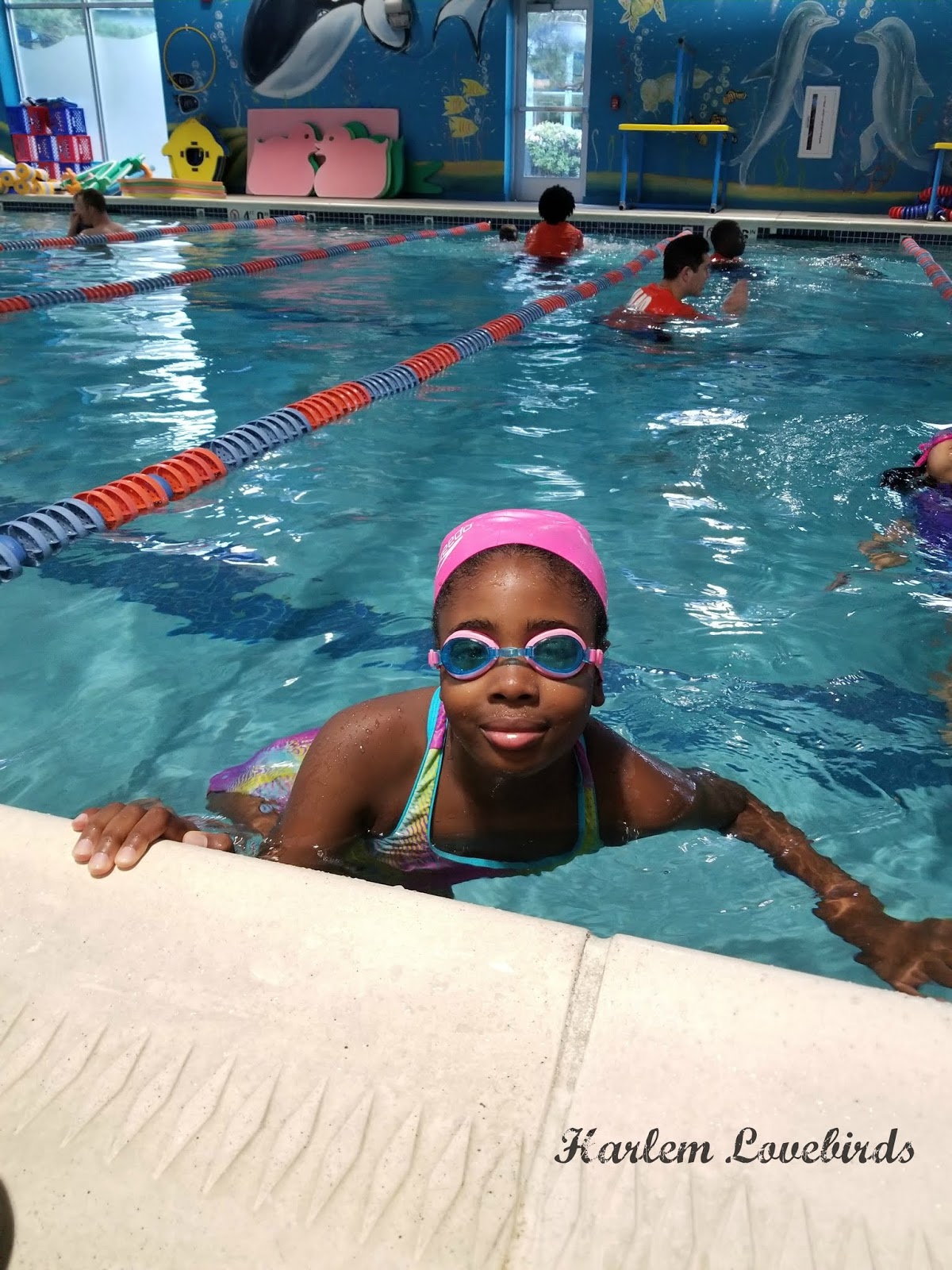Harlem Lovebirds 4 Reasons Why We Love Goldfish Swim School Needham