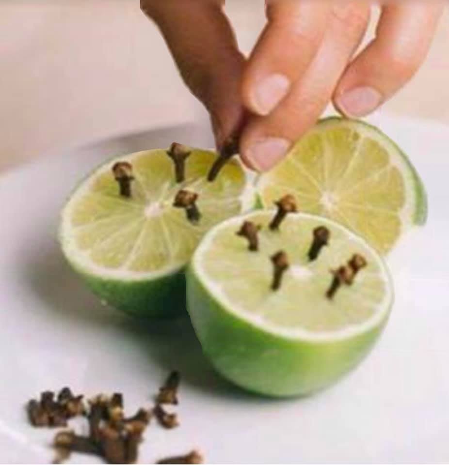 limon y clavo dulce remedio para eliminar las limon y clavo dulce remedio para eliminar las