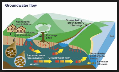 Surface Water Pollution Diagram