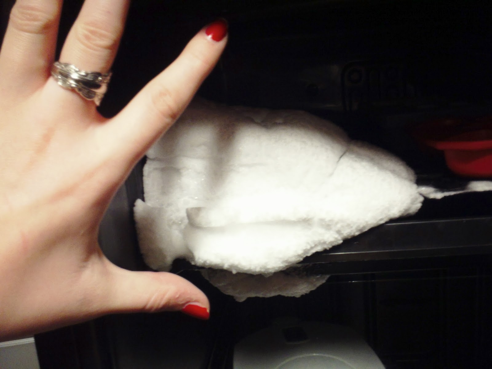 someday... Someday, we'll defrost our freezer...