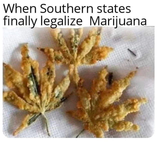 113.jpg
