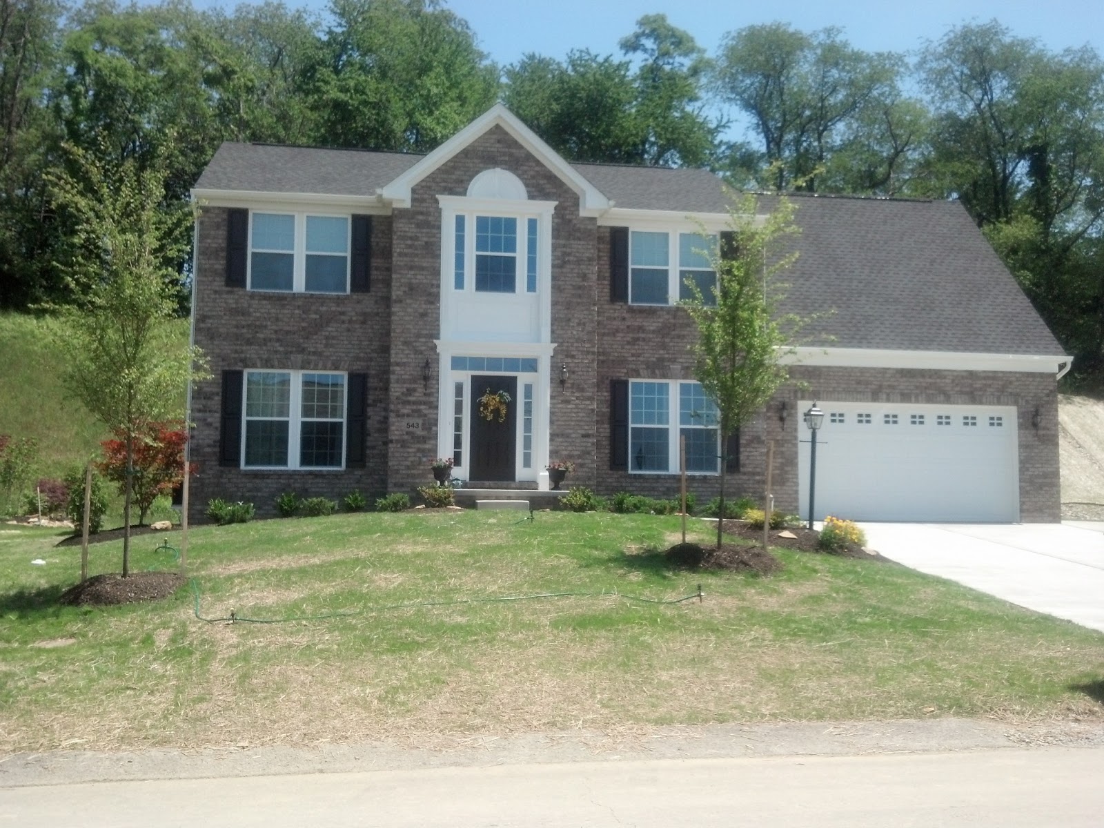 Savoy Ryan Home Decor and grass growing pics!