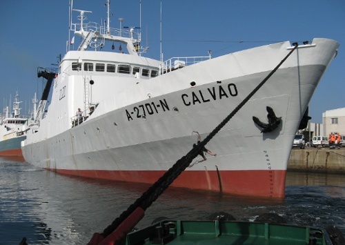Calvao-845574.jpg