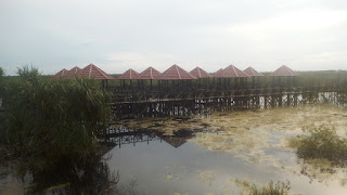 indonesia satwa