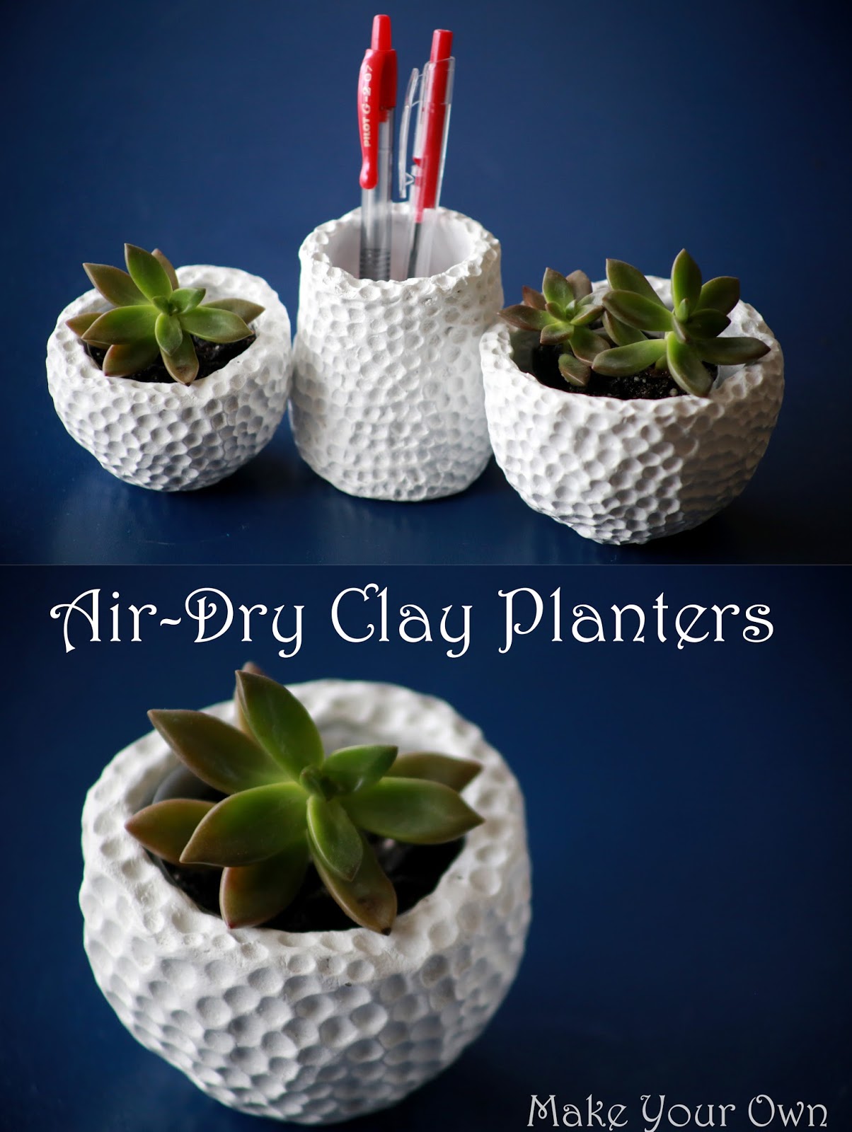 Make Your Own AirDry Clay Succulent Planters