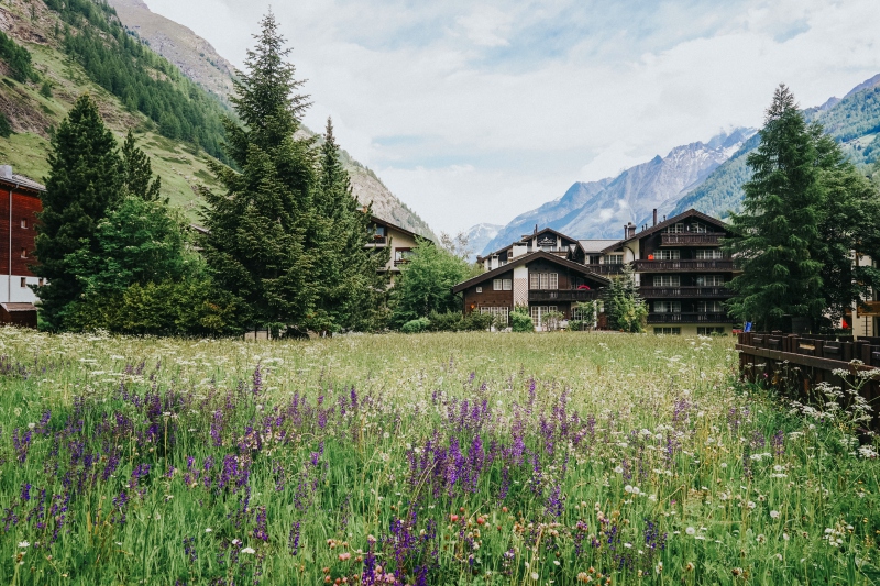 Daily Lazy Observer Of The Techniques At Wallriss Fribourg