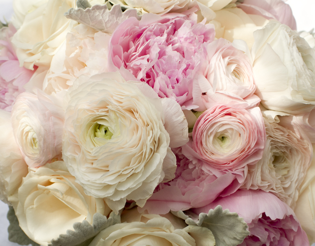 Emily Rose Floral Design Peony, Ranunculus & Dusty Miller