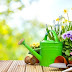 8 Useful Summer Hacks for Your Garden
