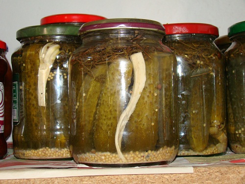 Castraveti in saramura