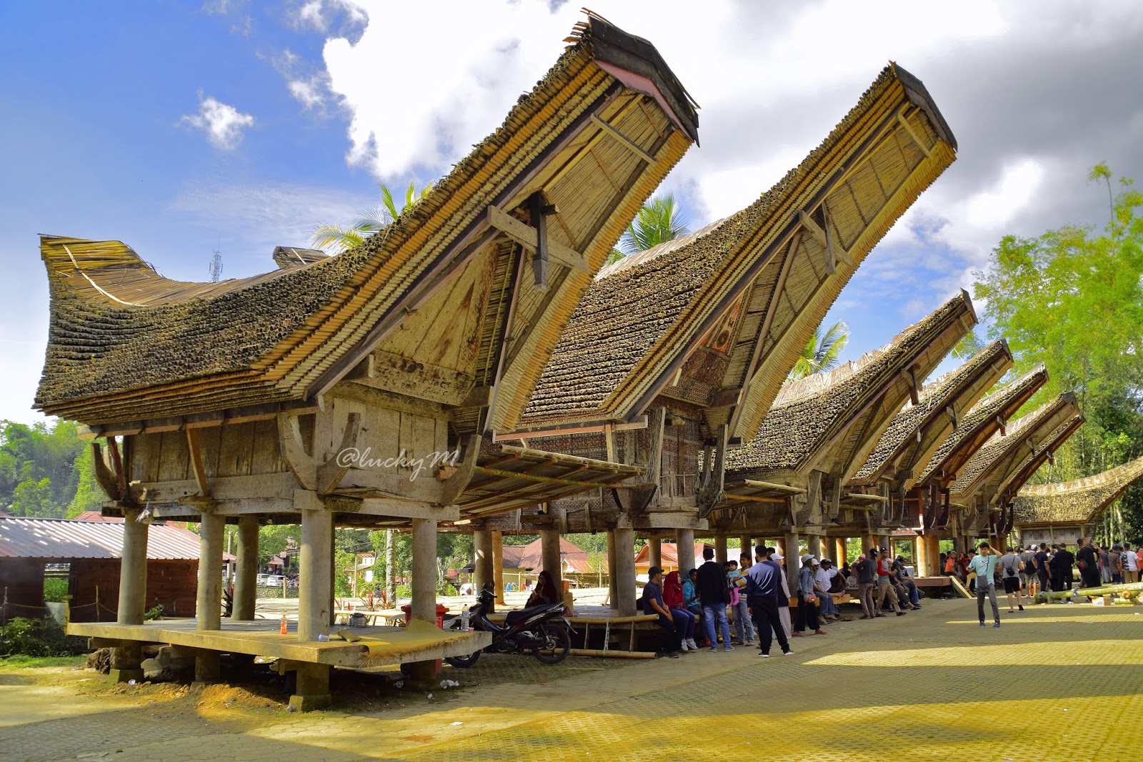 Tongkonang Rumah Adat Toraja 
