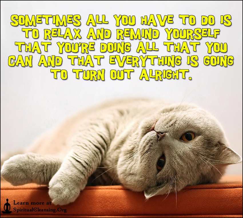 ленивые коты. лень иллюстрация. лень это хорошо или плохо. лень это хорошо. рекомендации для борьбы с ленью.