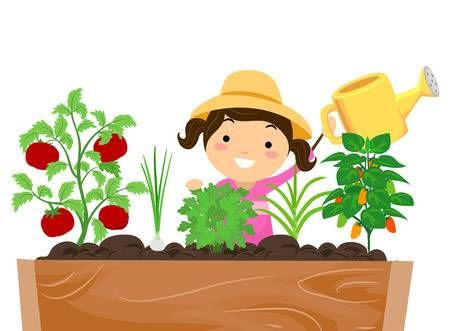 Rufetes: REGAMOS EL HUERTO