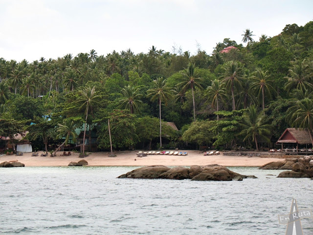 Koh Tao 