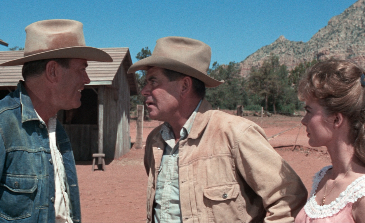 Movie Review The Rounders (1965) The Ace Black Movie Blog