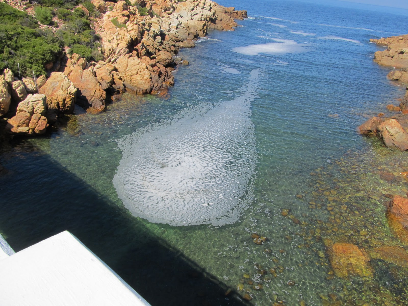 crystal plus pool