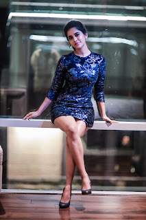 Nabha Natesh Latest Photoshoot Stills