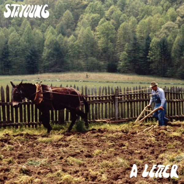 stayoung – 편지 – Single