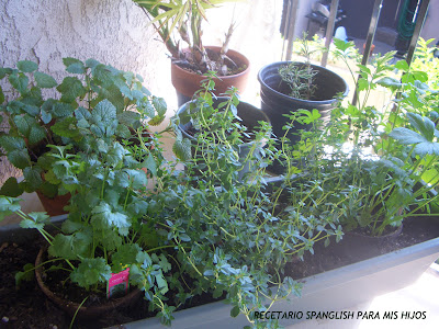 Recetario Spanglish para mis hijos: Saludos y Reflexión de fin de año