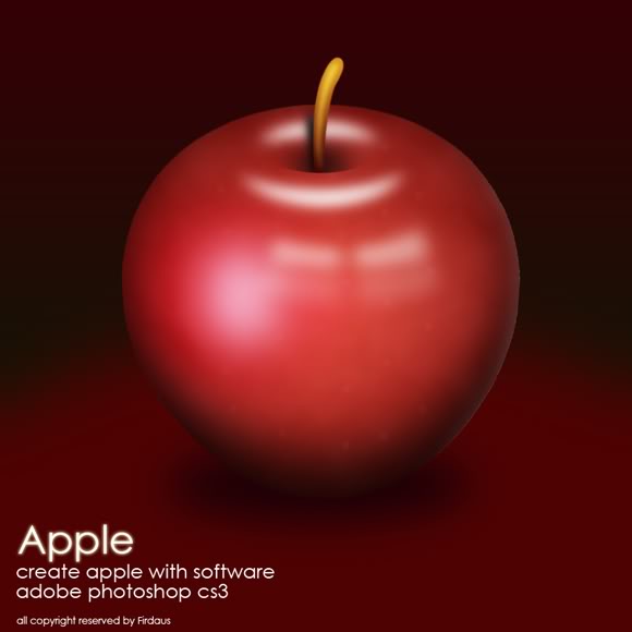 Training With Adobe Cs3 Firdaus Portfolio