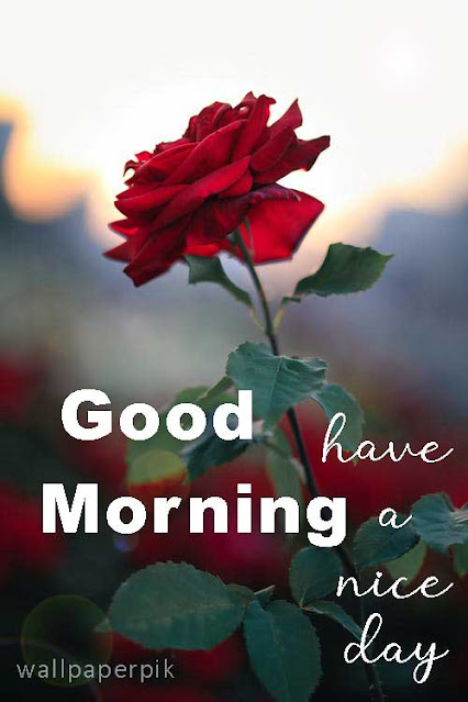 photos for CUTE good morning wishes in english good morning wishes for him
