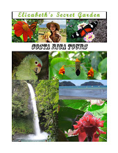 Click to View My Costa Rica Book