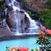 Most beautiful waterfalls with flowers