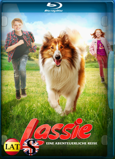 Lassie Vuelve a Casa (2020) REMUX 1080P LATINO/ALEMAN