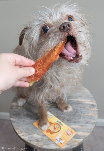 Mini Review: Pet 'n Shape Chik 'n Skewers Dog Treats