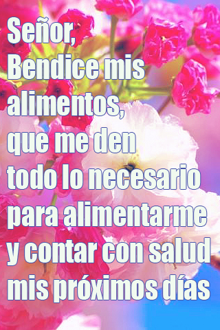 Señor, Bendice mis alimentos, que me den todo lo necesario para alimentarme y contar con salud mis próximos días Señor, Bendice mis alimentos, que me den todo lo necesario para alimentarme y contar con salud mis próximos días