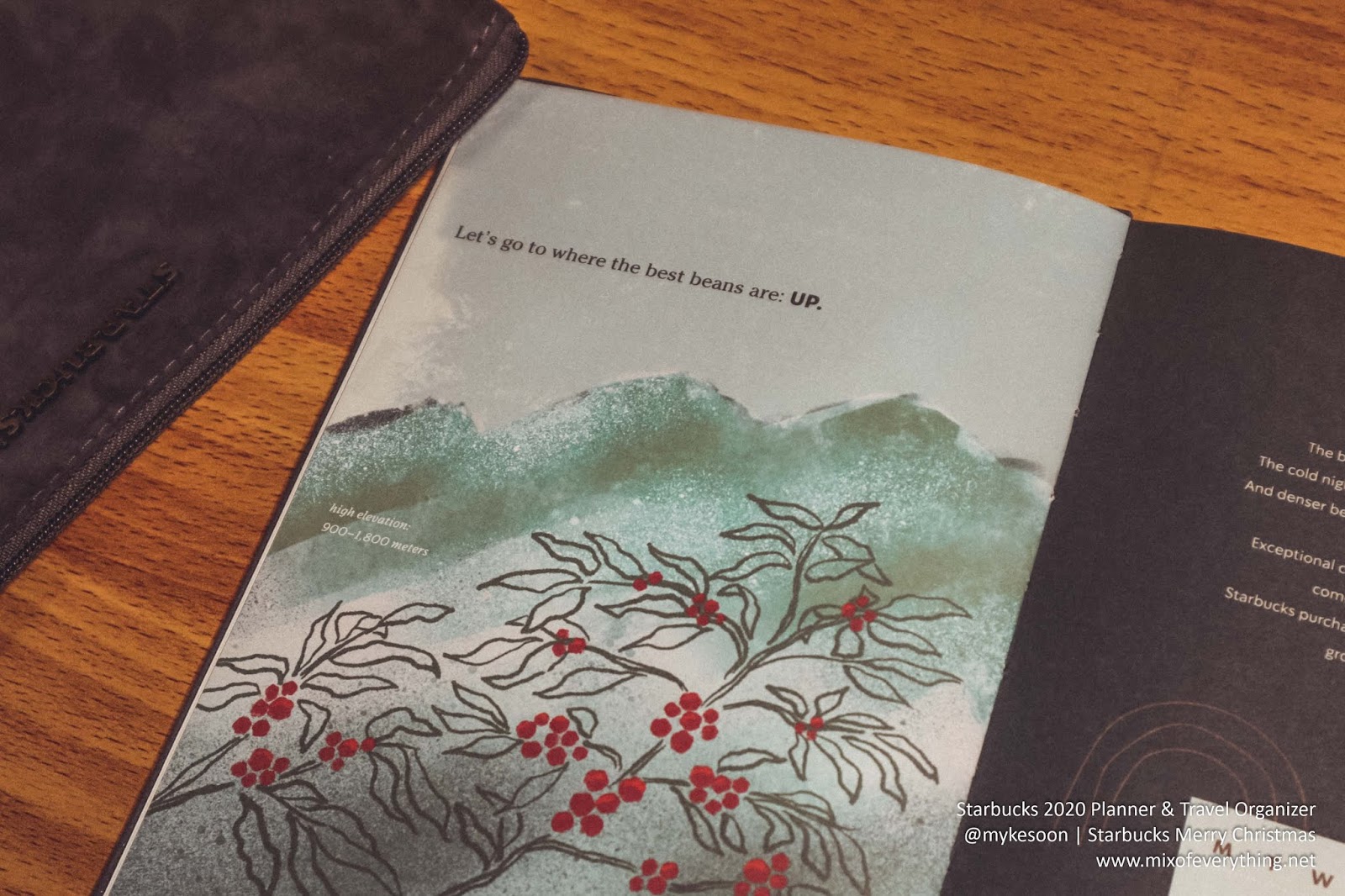 Detailed Unboxing of the Starbucks 2020 Planners & Travel Organizer