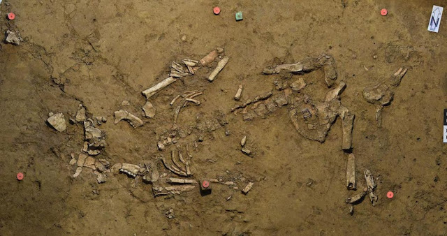 Αρχαιολόγοι ανακαλύπτουν το παλαιότερο χρυσό εύρημα στη νοτιοδυτική Γερμανία