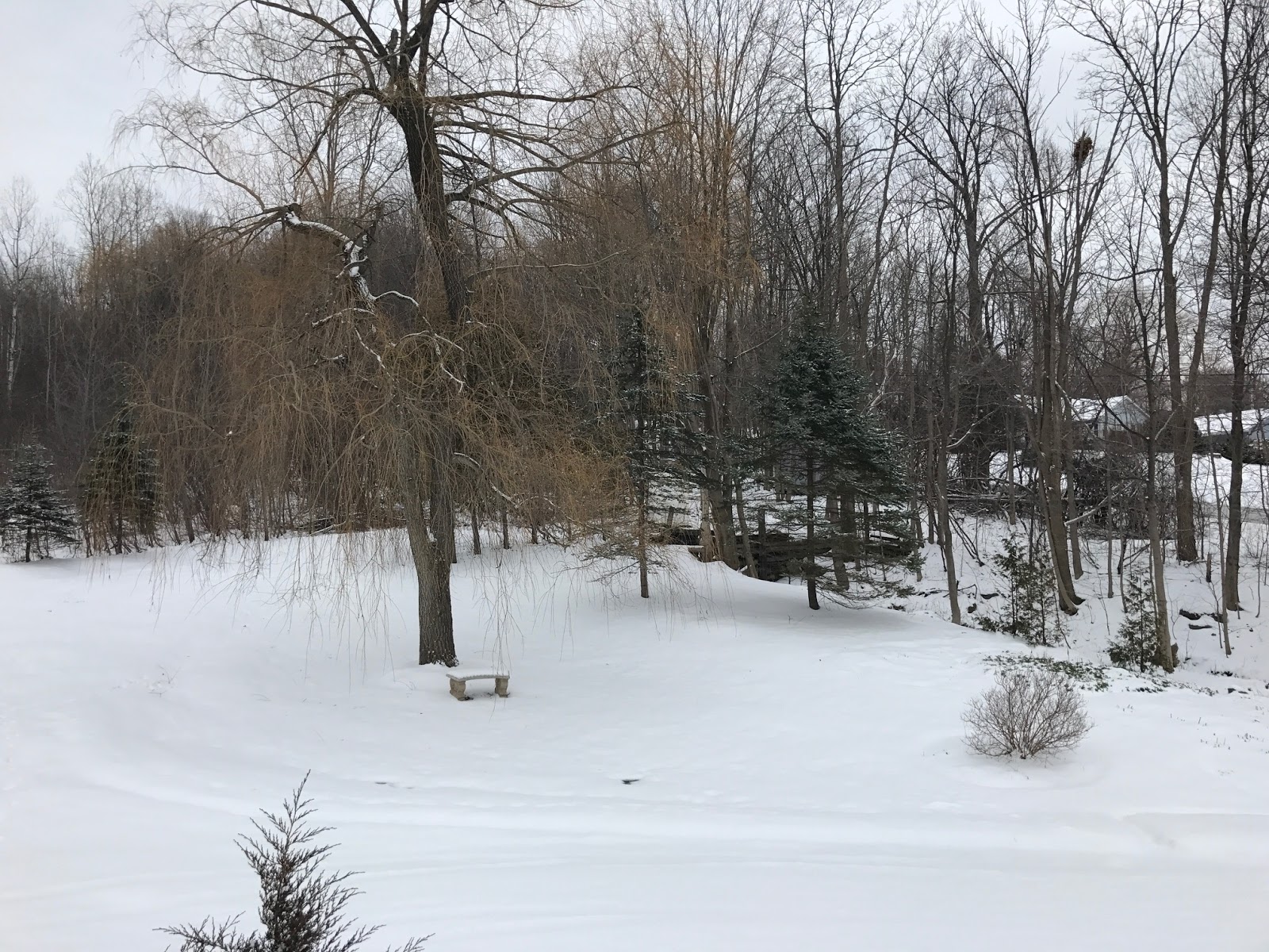 Matt's Weather Rapport Turns Out Dangerous High Winds Will Be Worst